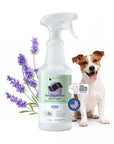 Pee+Stain+Odor Destroyer | Fabric+Carpet (Floral)