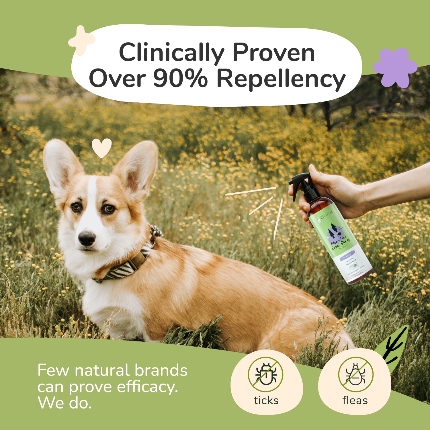 does lavender plants repel fleas Flea+Tick Protect Spray (Lavender) – kin+kind - Natural & Organic