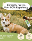 Flea+Tick Protect Spray (Lavender)