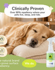 Flea+Tick Home+Car Spray (Lemongrass) | Large