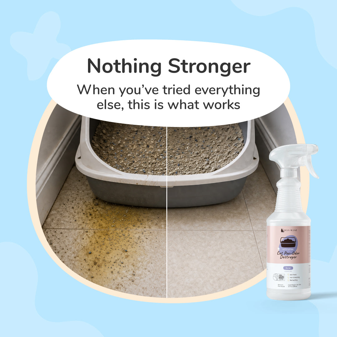 Cat Pee+Odor Destroyer | Kitty Litter (Floral)