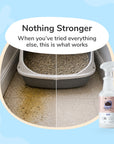 Cat Pee+Odor Destroyer | Kitty Litter (Floral)