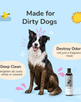 Charcoal Shampoo (Patchouli)