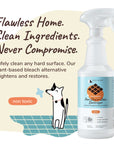 Pee+Stain+Odor Destroyer | Multi-Surface (Citrus)