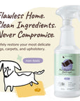 Stain & Odor Fabric & Carpet Mini Spray