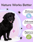 Flea+Tick Shampoo (Lavender)