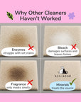 Pee+Stain+Odor Destroyer | Fabric+Carpet (Floral)