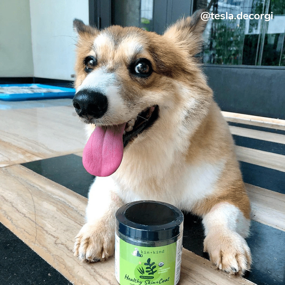 Superfood Supplement Set