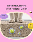 Cat Pee+Odor Destroyer | Kitty Litter (Floral)
