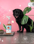 Pee+Stain+Odor Destroyer | Multi-Surface (Citrus)