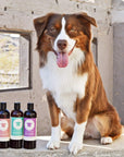 Kin Organics Jasmine+Lily Natural Shampoo