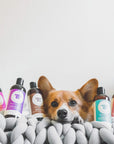 Kin Organics Jasmine+Lily Natural Shampoo