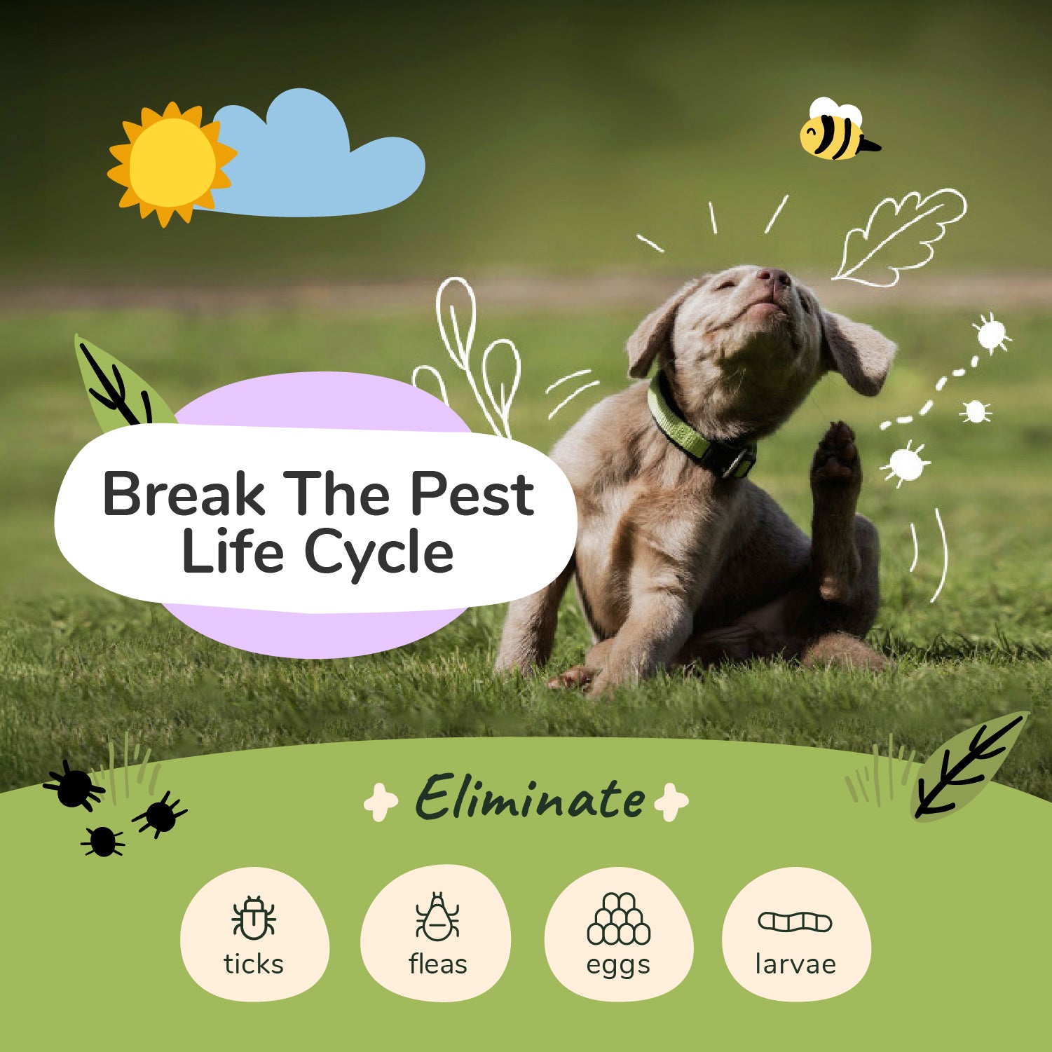Flea|Tick Shampoo  (Lavender)