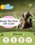 Flea|Tick Shampoo (Lemongrass)
