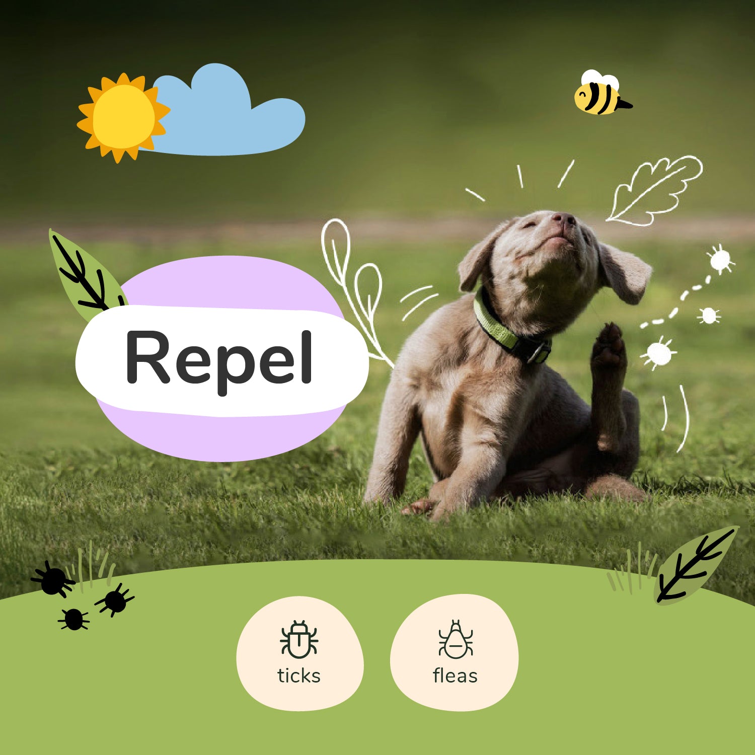 Flea|Tick Lavender Mini Spray