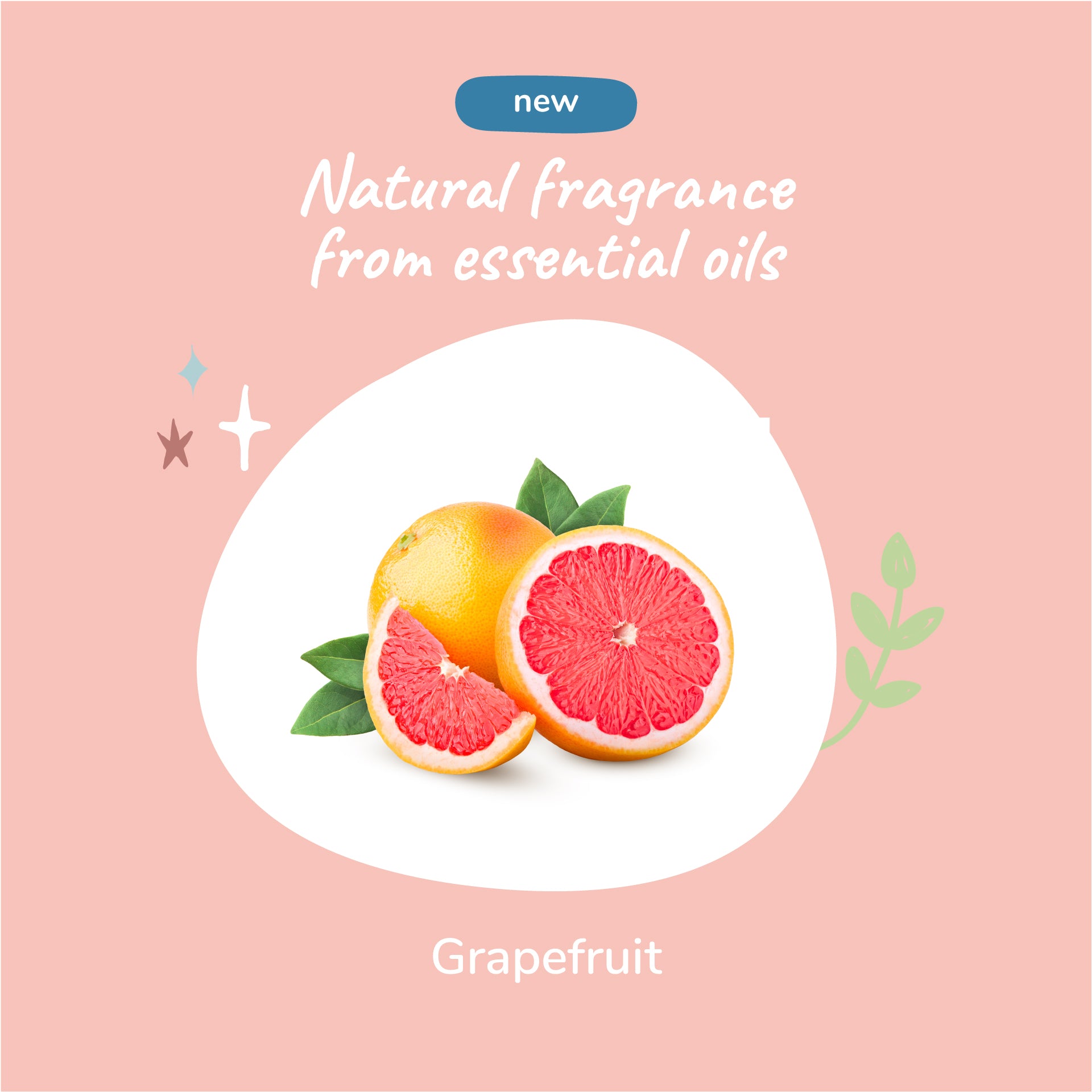 Dog Smell Coat Spray (Grapefruit)