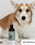 Dry Skin+Coat Shampoo (Cedar)