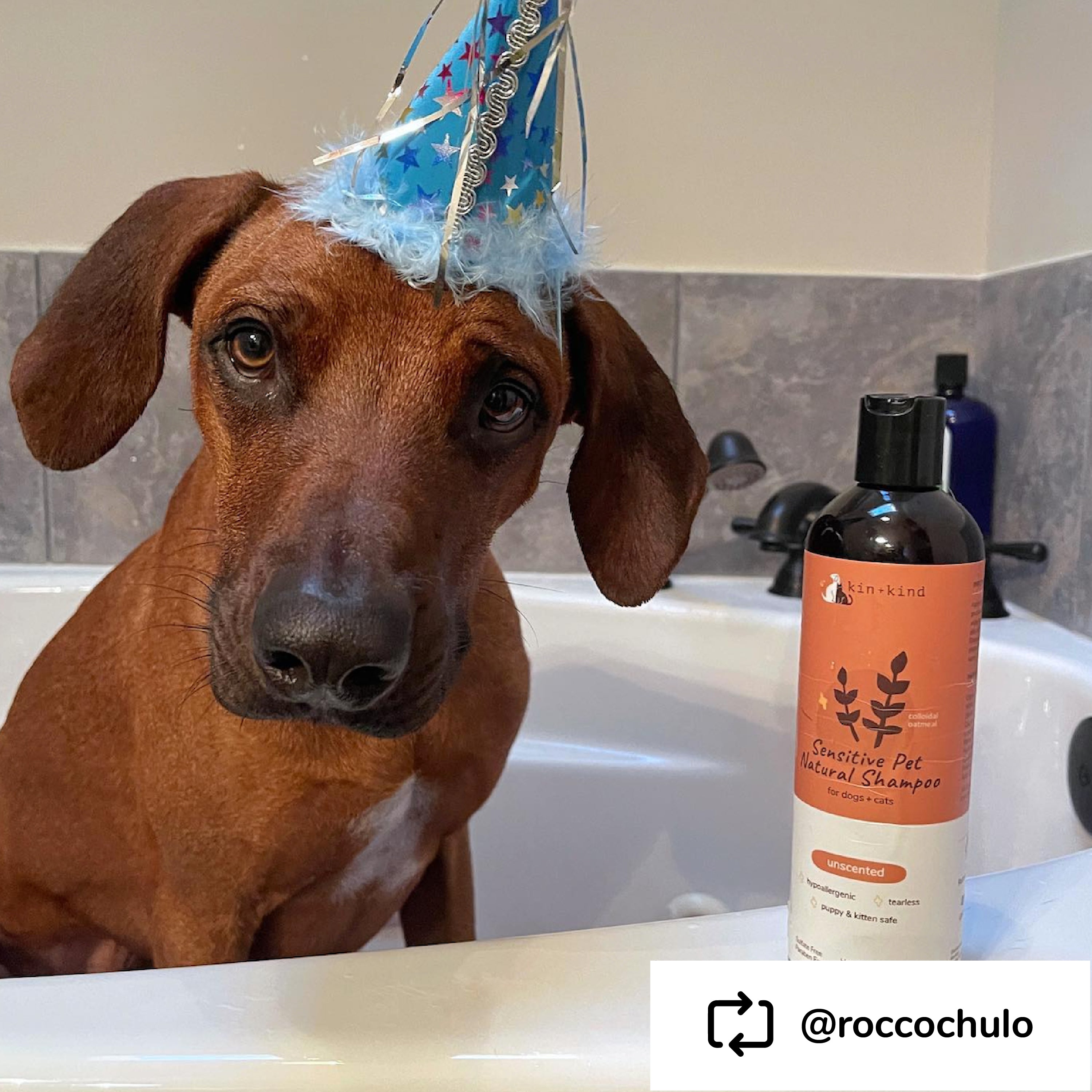 Sensitive Skin Shampoo (Unscented Oatmeal)
