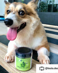 Healthy Skin+Coat Supplement