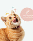 Natural Kitty Ear Cleaner