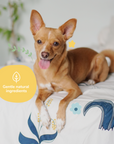 Dog Smell Coat Spray (Almond+Vanilla)