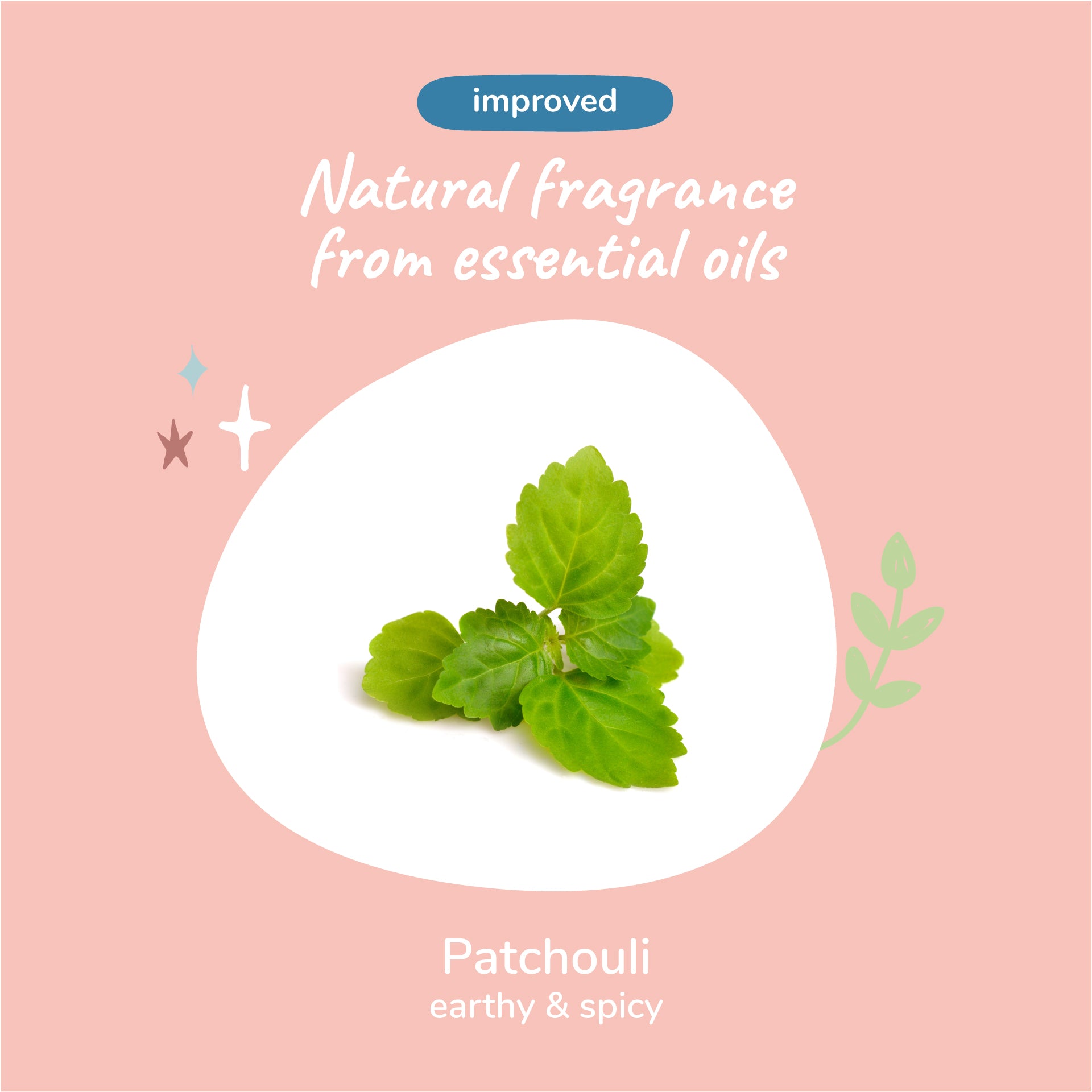 Charcoal Shampoo (Patchouli)