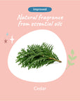 Dry Skin+Coat Shampoo (Cedar)