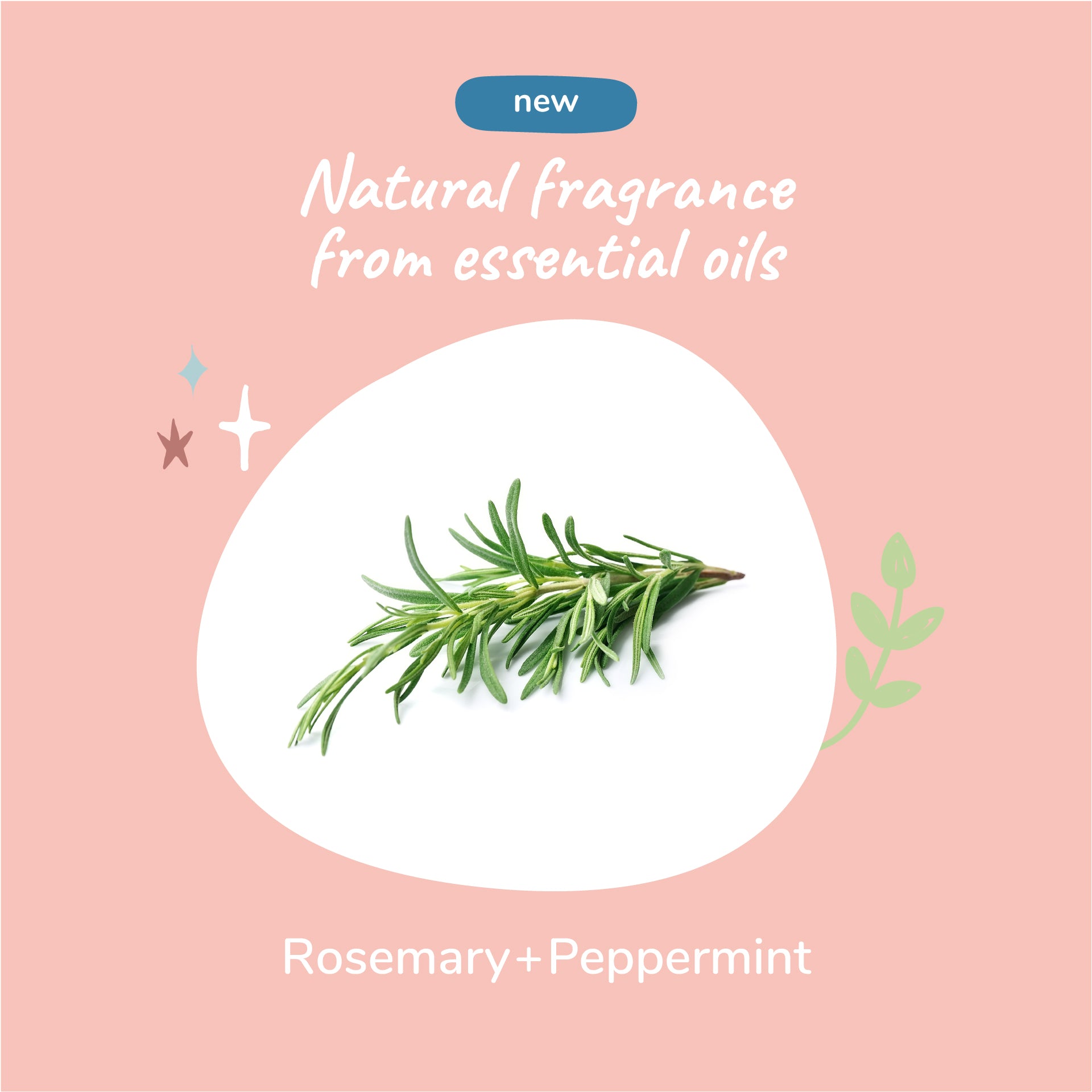Itchy Pet Shampoo (Rosemary)