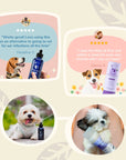 Dog Grooming Bundle