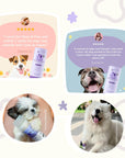 Organic Nose & Paw Moisturizer Stick for Dogs & Cats