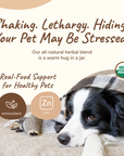 Healthy Calm Supplement