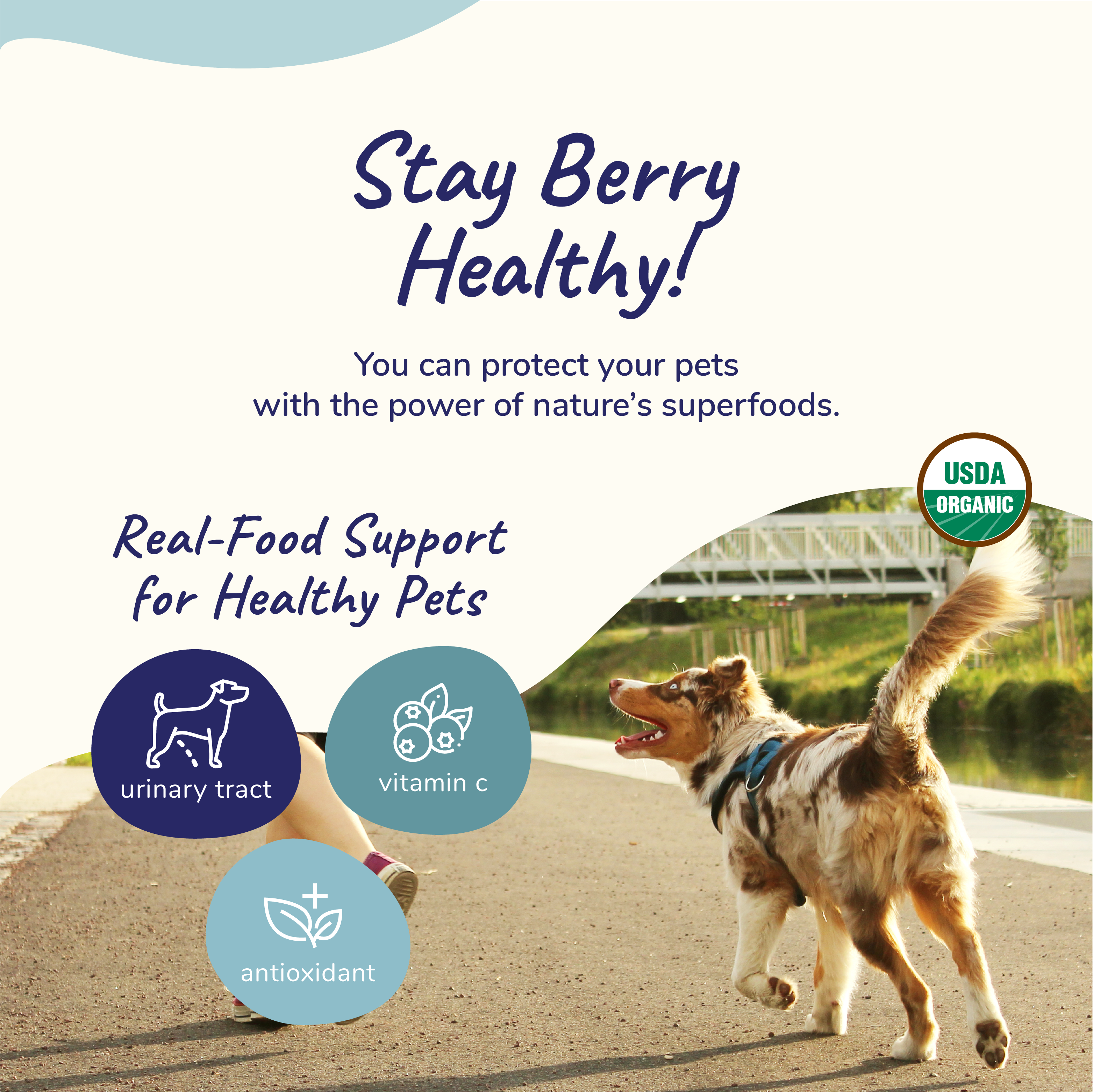 Healthy Immunity Supplement