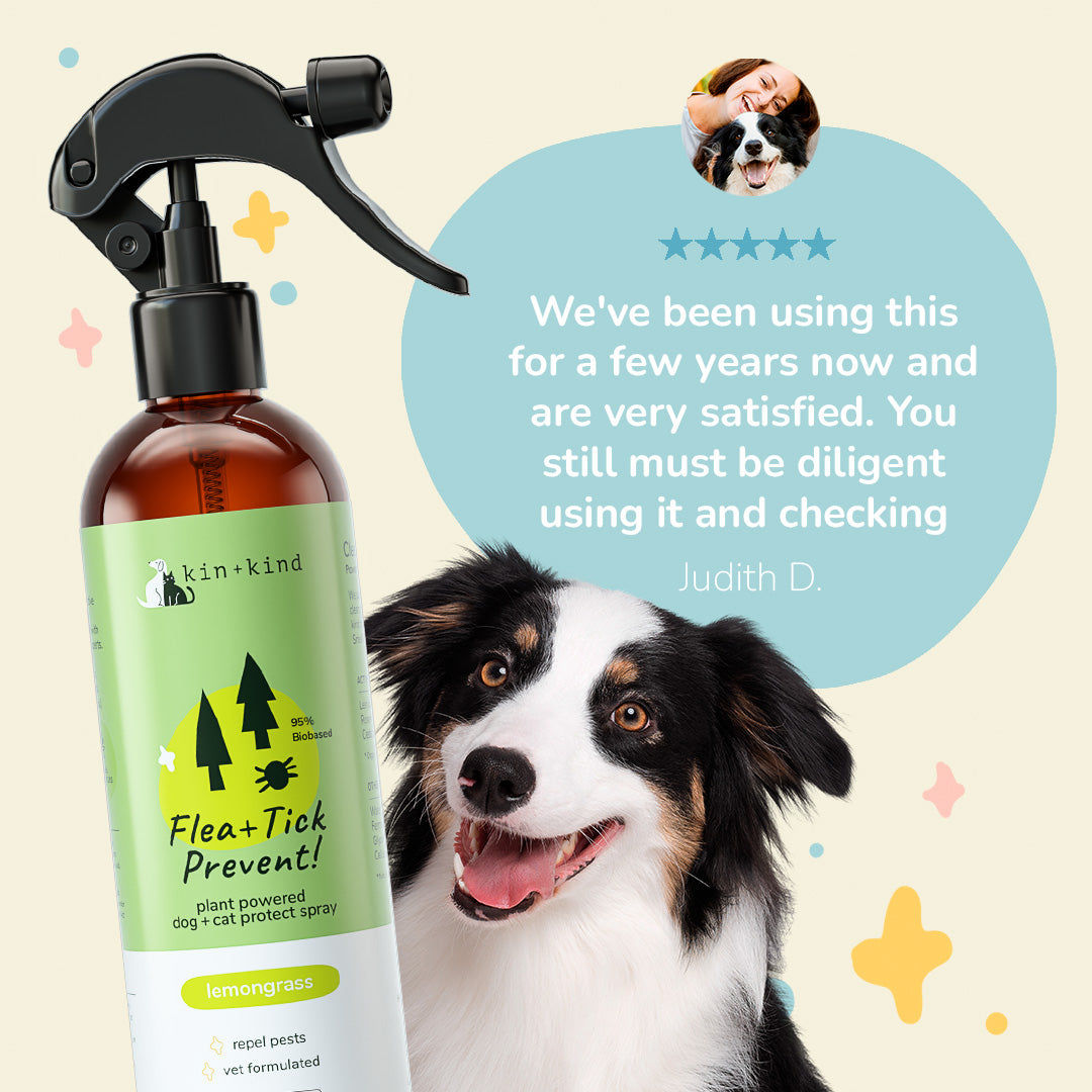 Flea Tick Prevention Natural Treatment kin kind Natural Organic Pet Grooming Wellness