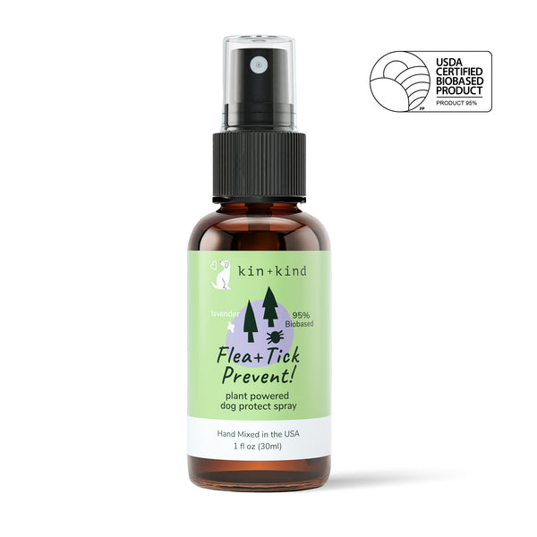 Homemade tick killer for dogs shop