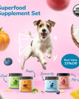 Superfood Supplement Set