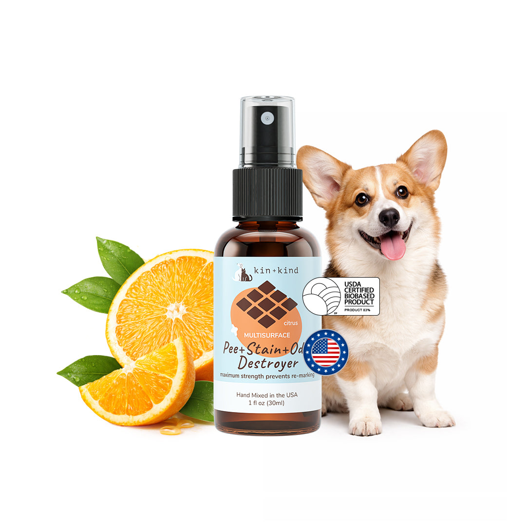 Pee+Stain+Odor Destroyer | Multi-Surface (Citrus) Mini Spray