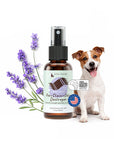 Stain & Odor Fabric & Carpet Mini Spray