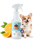 Pee+Stain+Odor Destroyer | Multi-Surface (Citrus)