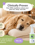 Flea+Tick Home+Car Spray (Lavender) | Large