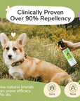 Flea+Tick Home+Car Spray (Lemongrass) | Large
