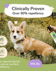 Flea+Tick Protect Spray (Lavender)