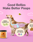 Healthy Poops Supplement
