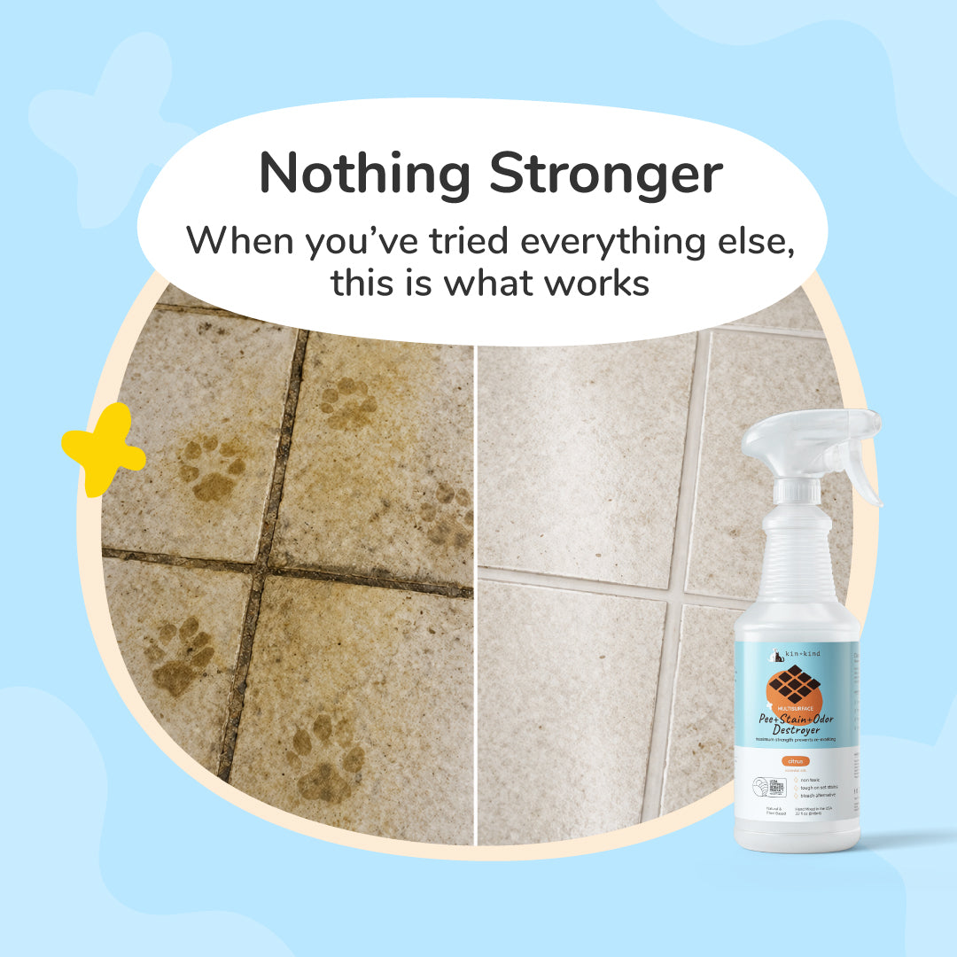 Pee+Stain+Odor Destroyer | Multi-Surface (Citrus) Mini Spray