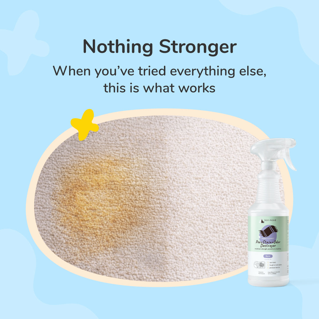 Stain &amp; Odor Fabric &amp; Carpet Mini Spray