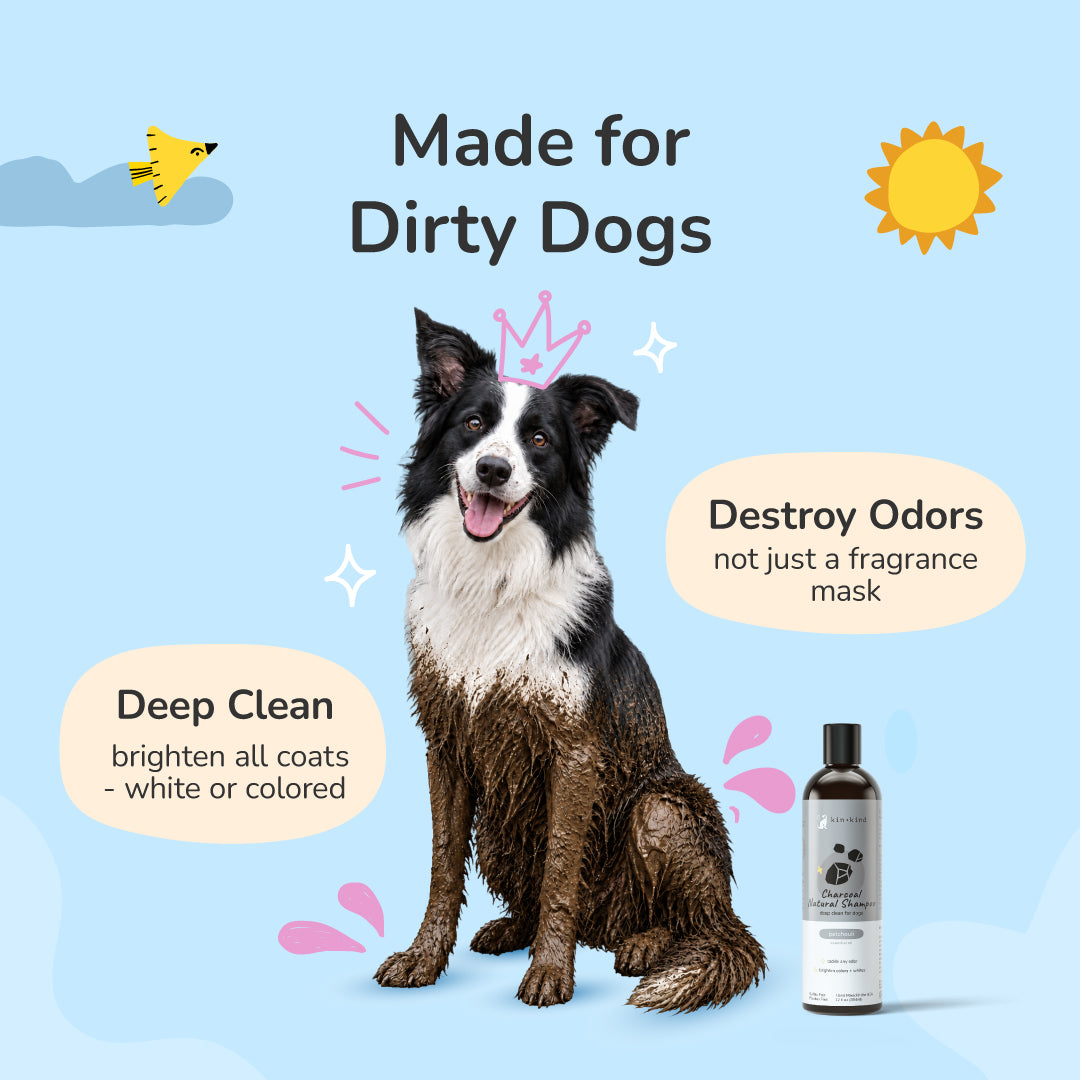 Charcoal Shampoo (Patchouli)