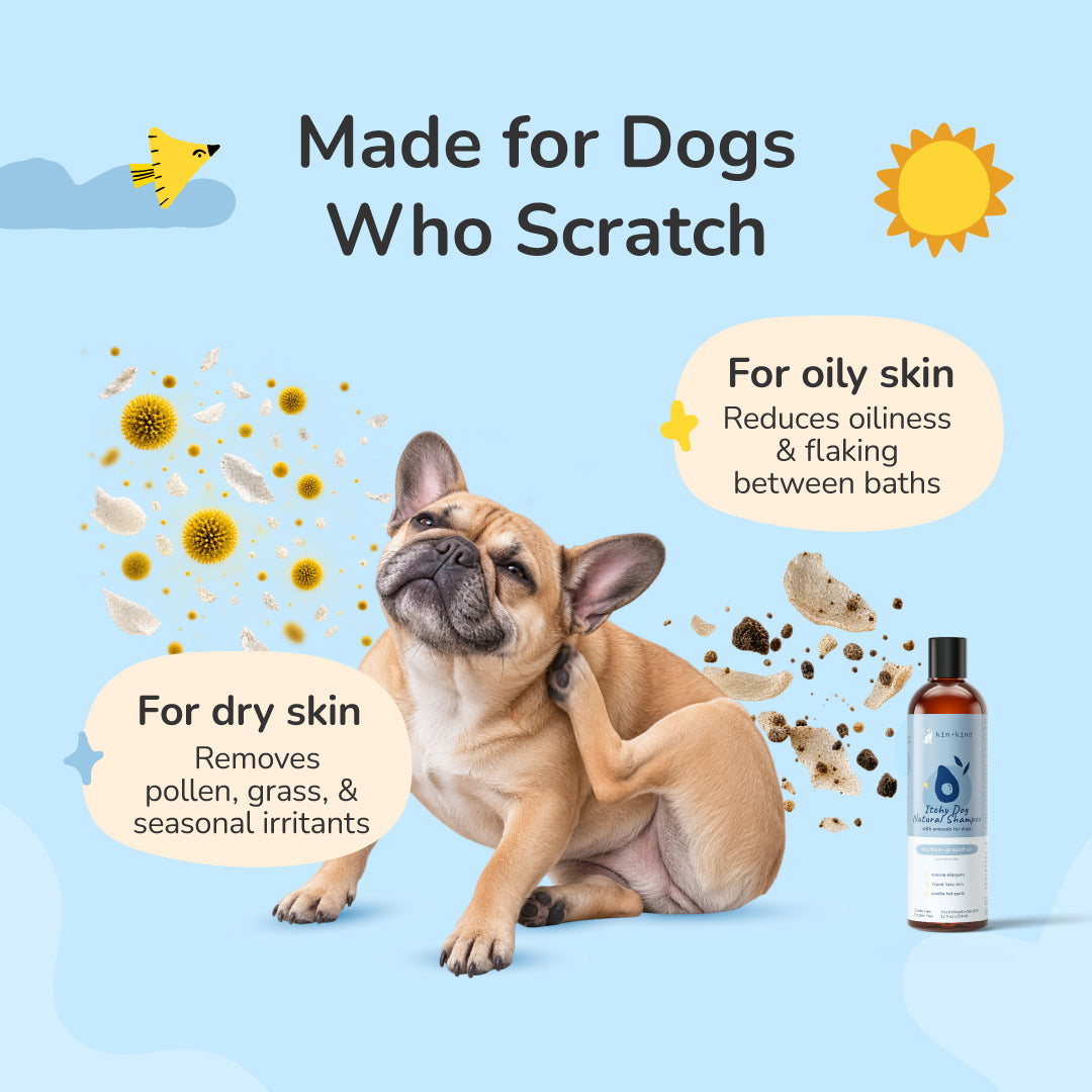Itchy Dog Shampoo (Tea Tree+Grapefruit)