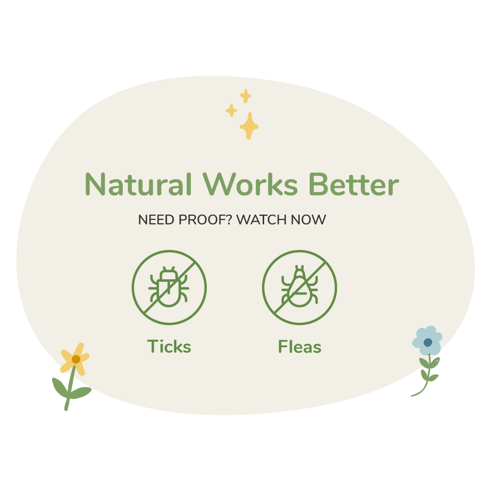 Flea & Tick Prevention & Natural Treatment kin+kind Natural