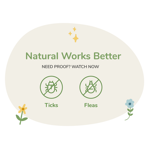 Flea & Tick Prevention & Natural Treatment kin+kind Natural