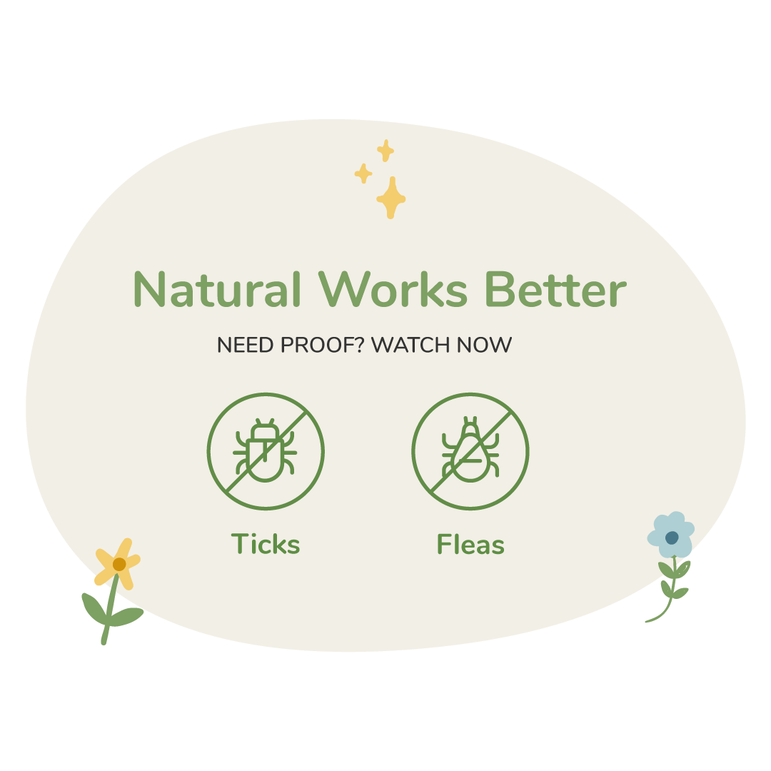 Flea & Tick Prevention & Natural Treatment kin+kind Natural