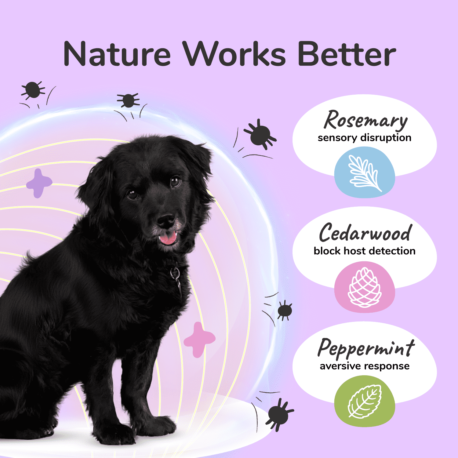 Flea+Tick Lavender Mini Spray